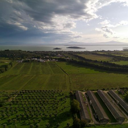 Tra Lago E Collina Passignano sul Trasimeno Zewnętrze zdjęcie